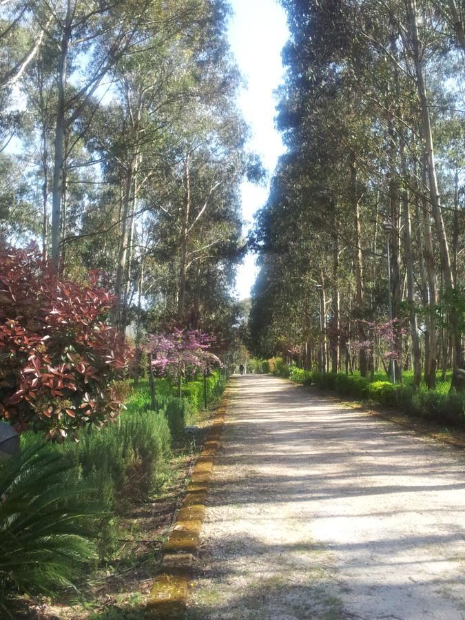 Il Nibbio Reale Country House Rocca d'Evandro ภายนอก รูปภาพ