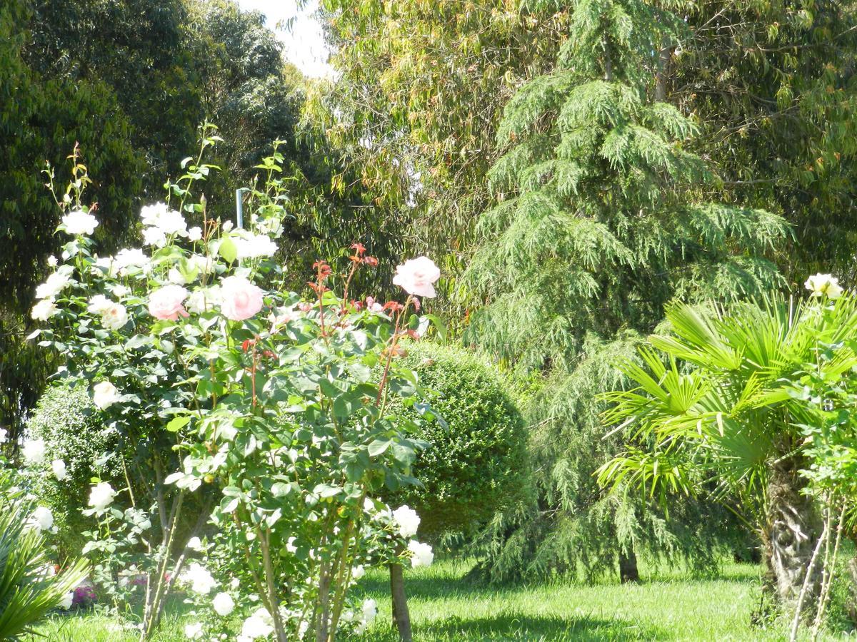 Il Nibbio Reale Country House Rocca d'Evandro ภายนอก รูปภาพ
